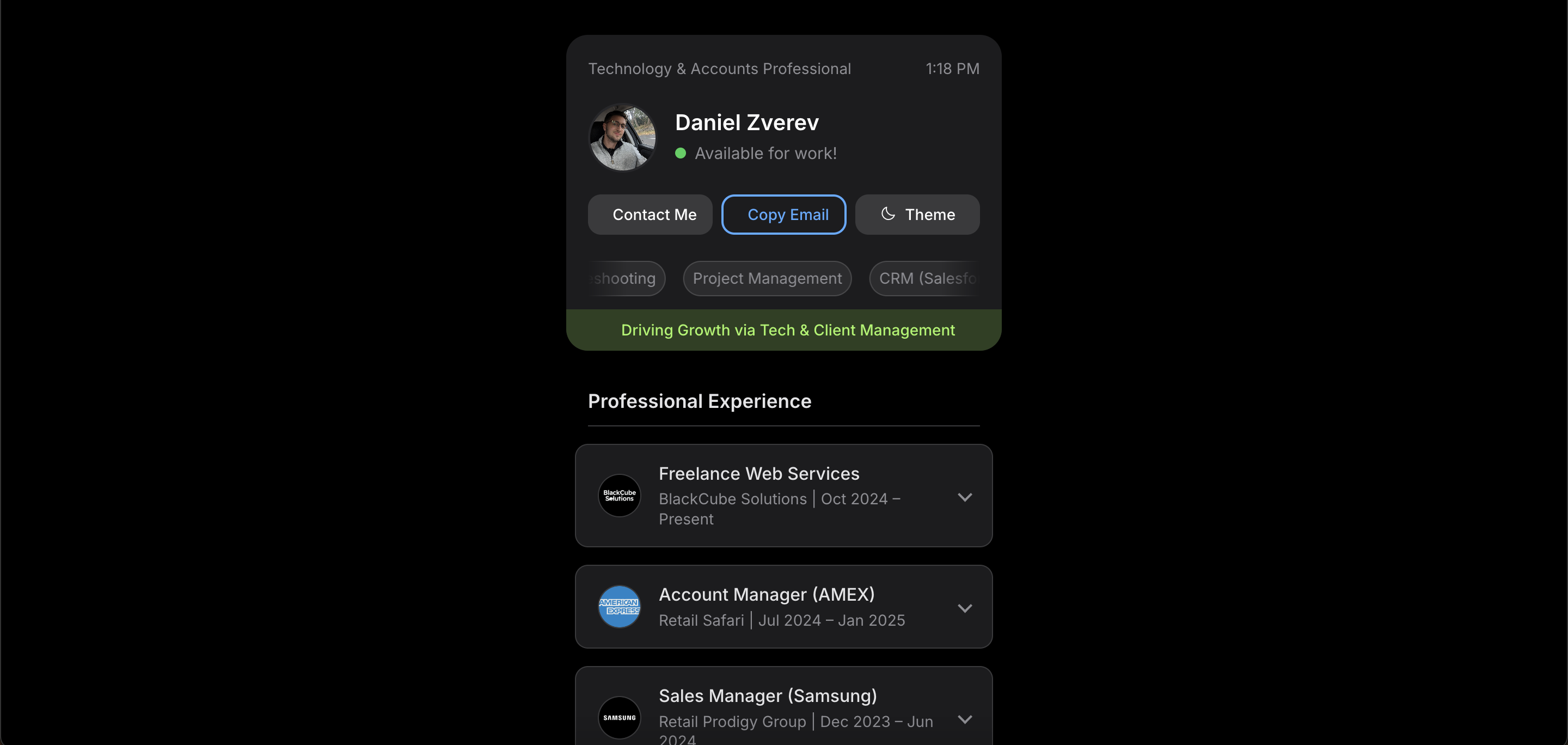 Screenshot of Interactive Digital Resume - Dark Mode