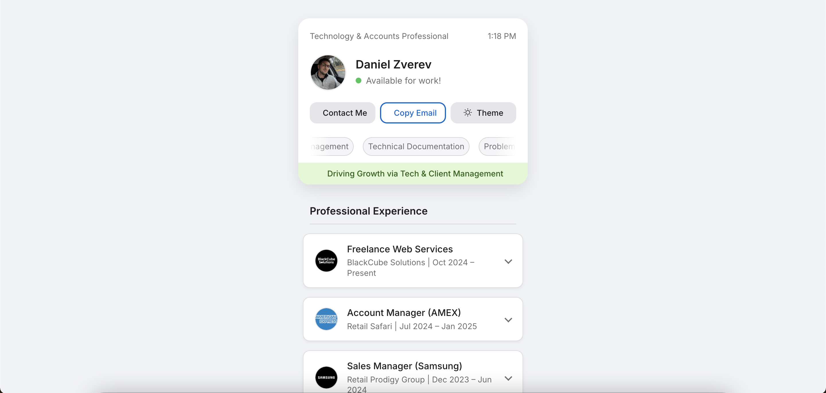 Screenshot of Interactive Digital Resume - Light Mode